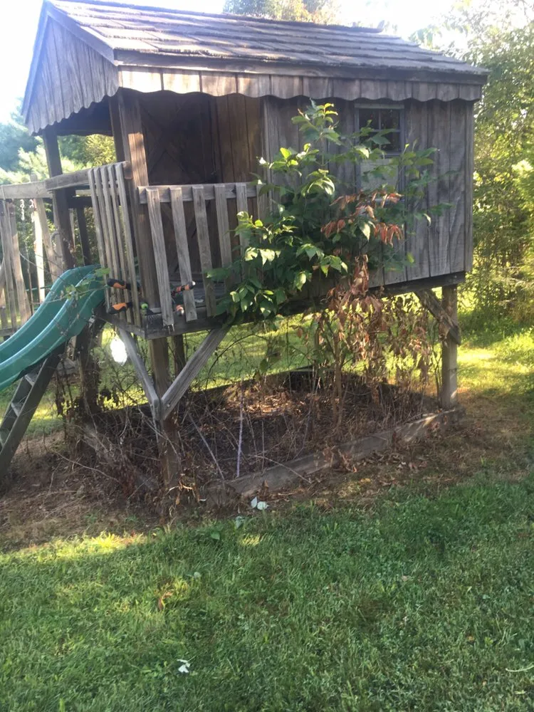 Professional outdoor landscaping in Williams Township, PA by CK Property Maintenance and Restoration