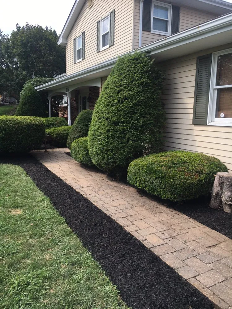 Affordable lawn care service in Williams Township, PA - CK Property Maintenance and Restoration