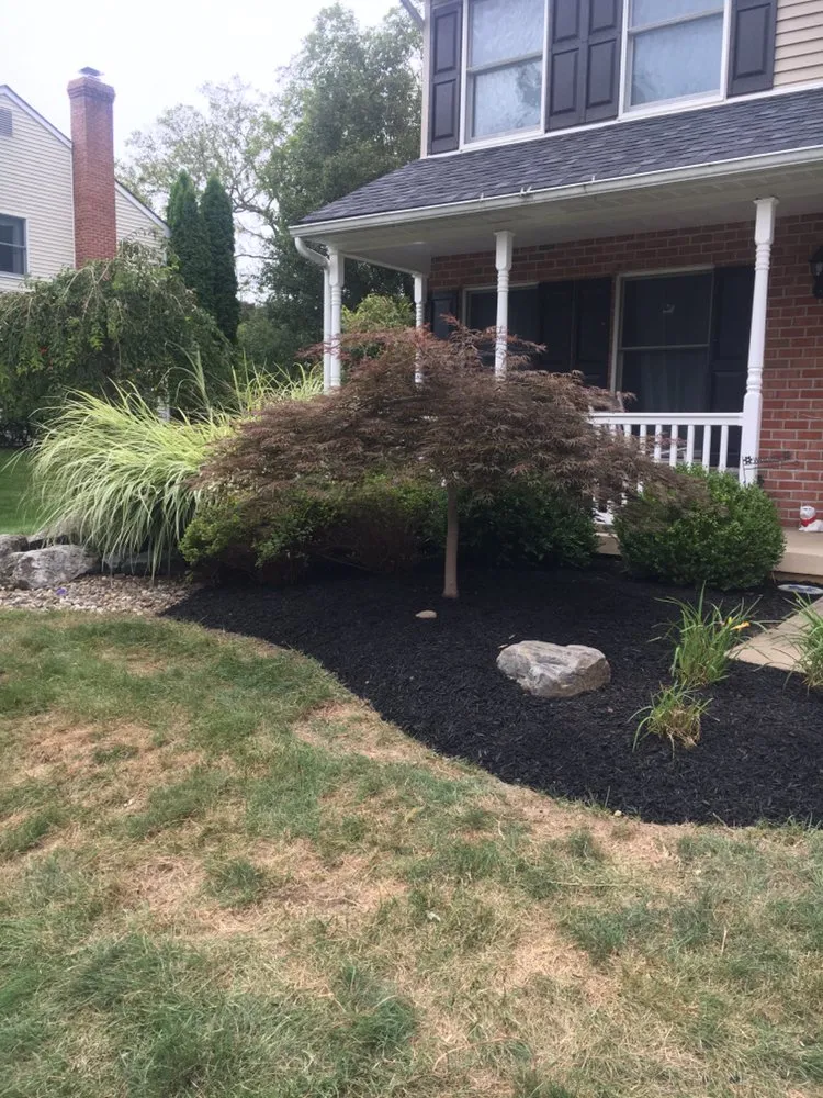 Affordable yard maintenance with custom design across Williams Township, PA - CK Property Maintenance and Restoration