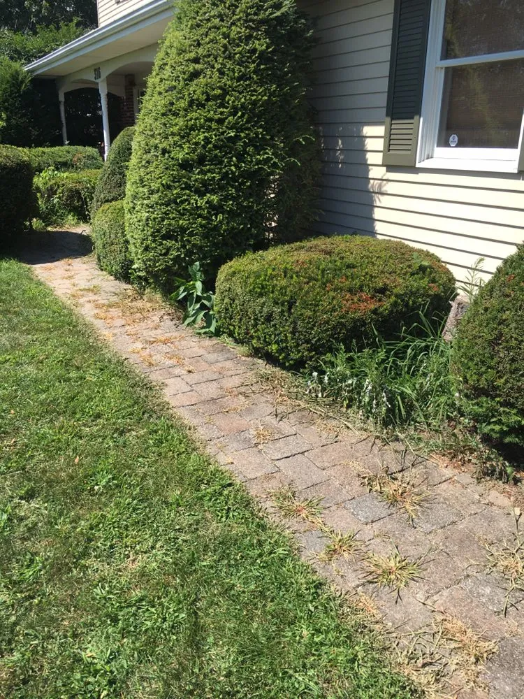 Reliable yard maintenance experts serving Williams Township, PA - CK Property Maintenance and Restoration