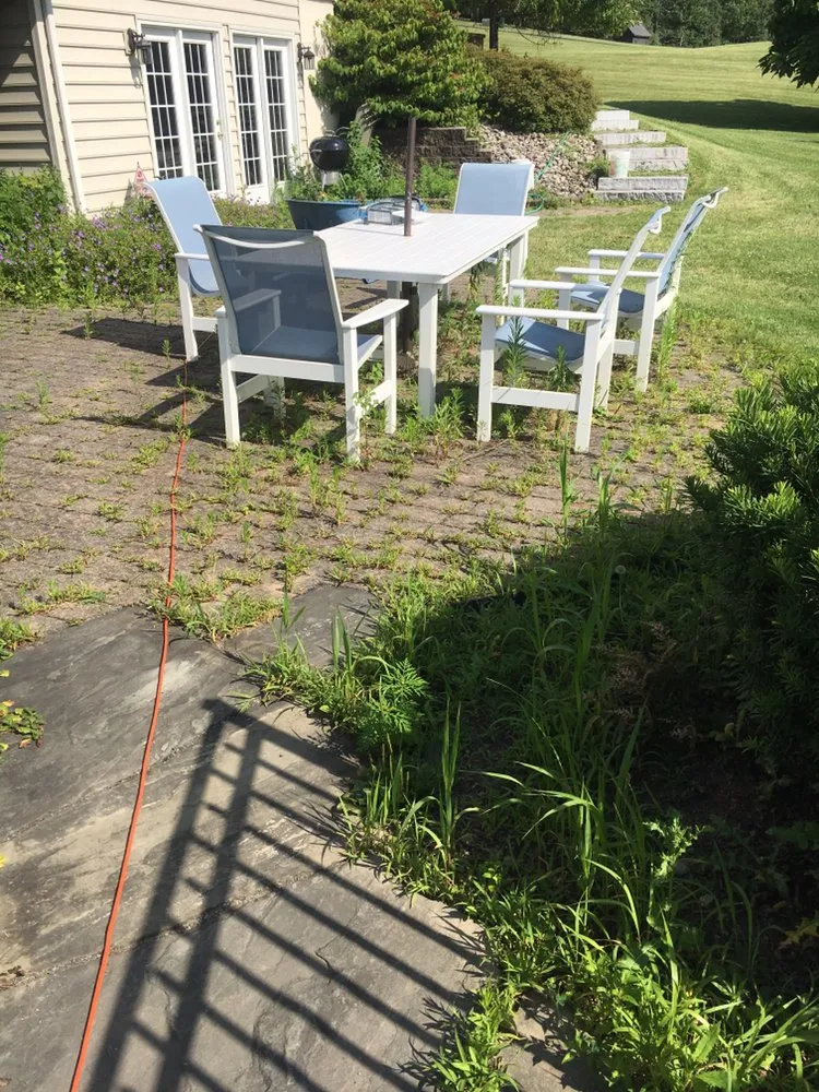 Top-rated yard cleanup service for year-round maintenance across Williams Township, PA - CK Property Maintenance and Restoration