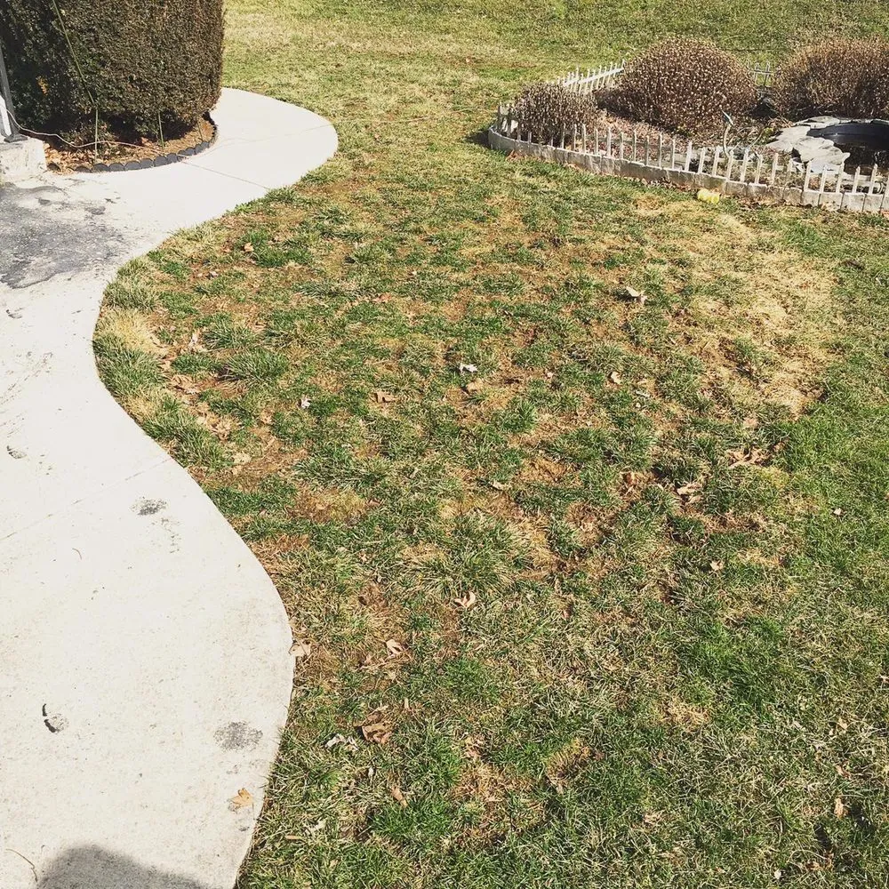 Custom outdoor landscaping for homes across Williams Township, PA - CK Property Maintenance and Restoration