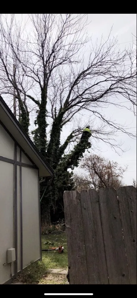 Trusted landscape design in Wichita, KS by CK Tree & Landscape