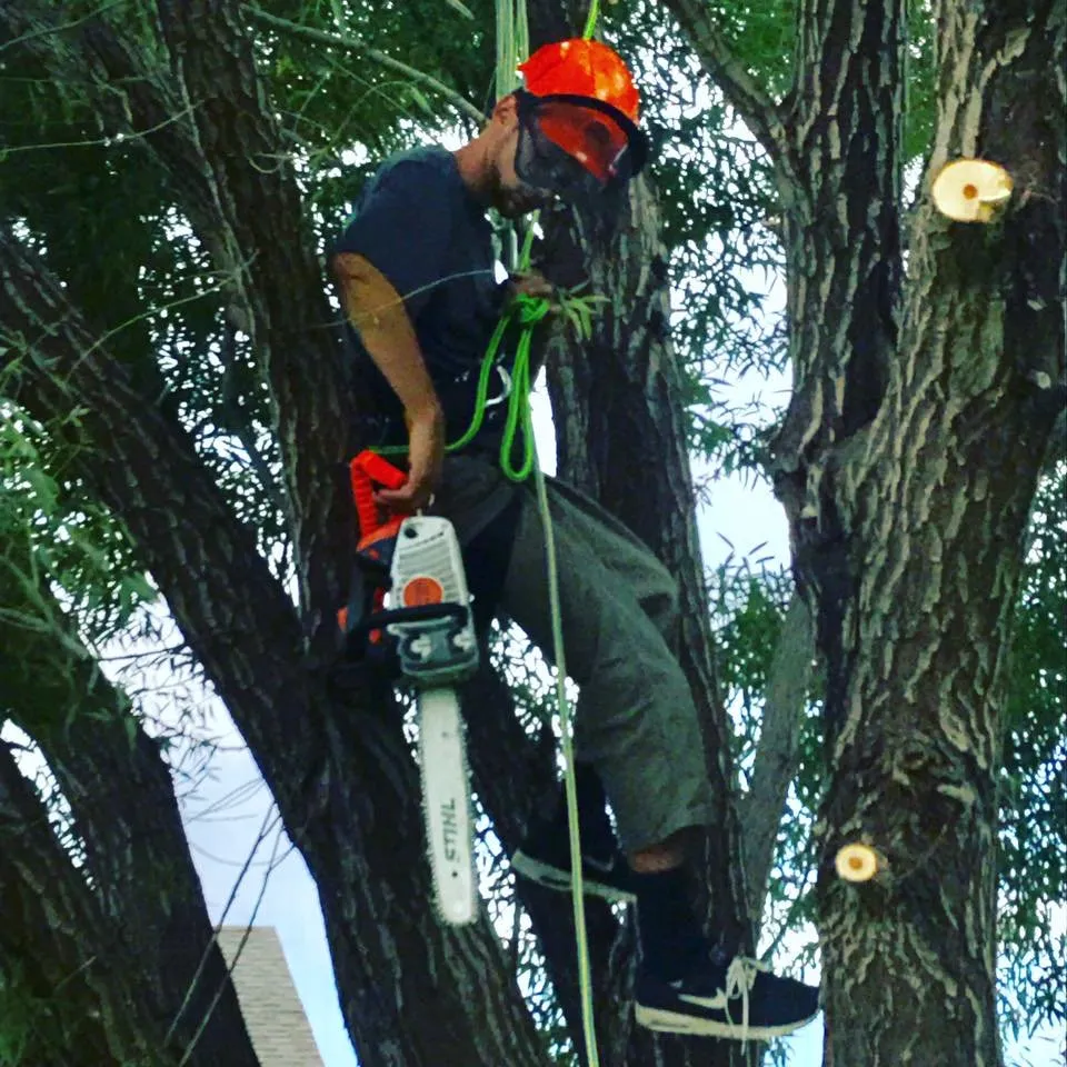 Reliable yard maintenance in Wichita, KS - CK Tree & Landscape