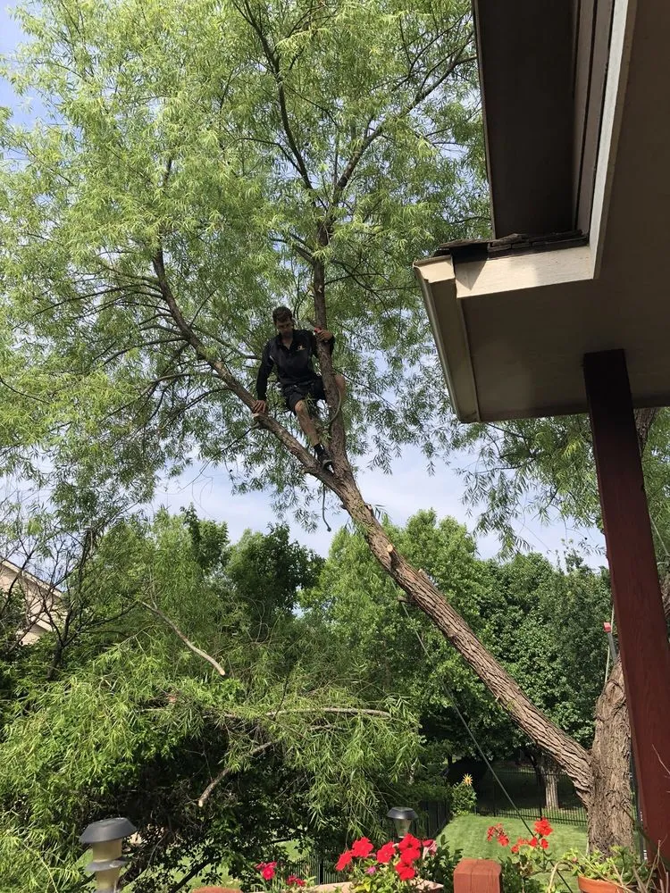 Expert yard cleanup service with custom design across Wichita, KS - CK Tree & Landscape