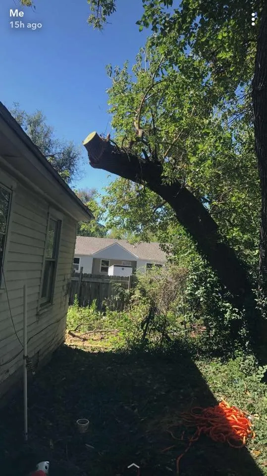 Reliable residential landscaping in Wichita, KS by CK Tree & Landscape