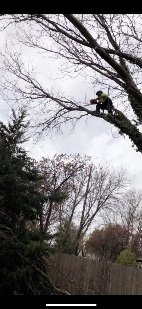 Affordable garden landscaping for beautiful yards in Wichita, KS by CK Tree & Landscape