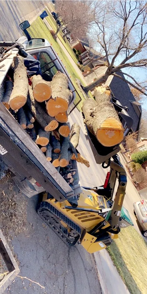 Affordable lawn care service in Wichita, KS - CK Tree & Landscape