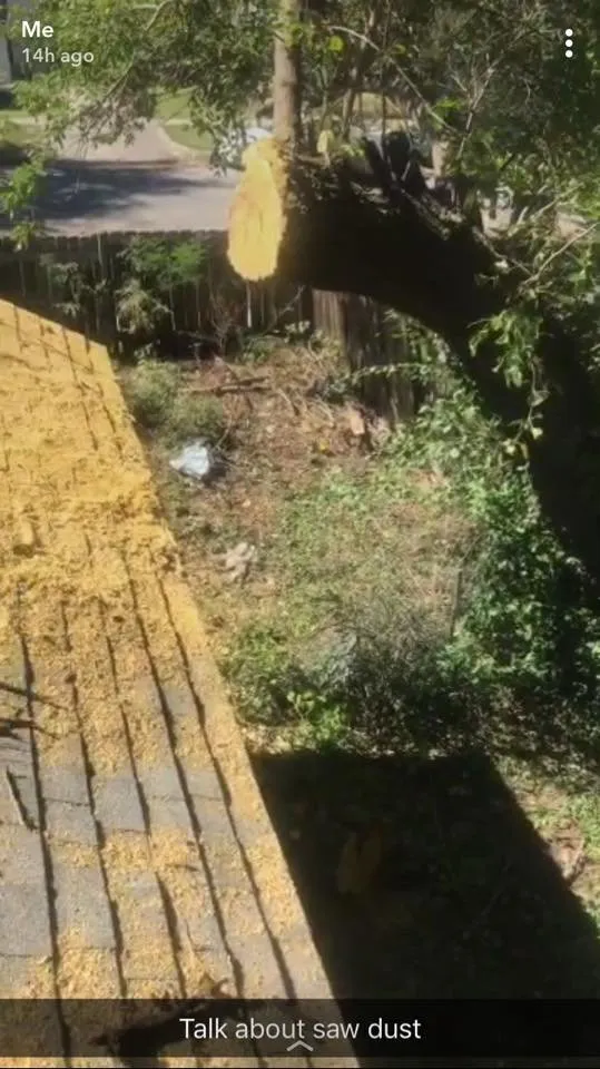 Professional yard maintenance in Wichita, KS - CK Tree & Landscape