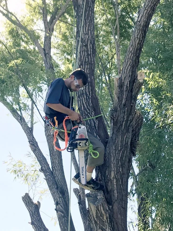 Local landscape design in Wichita, KS - CK Tree & Landscape