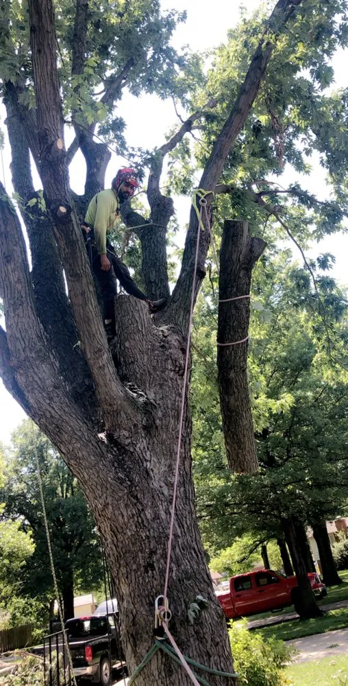 Professional landscape installation experts serving Wichita, KS - CK Tree & Landscape