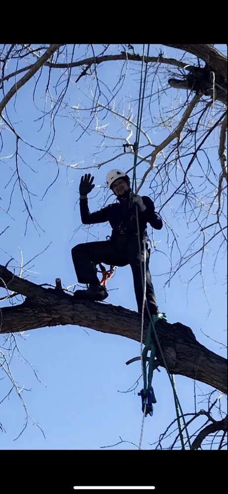 Reliable landscape installation in Wichita, KS by CK Tree & Landscape