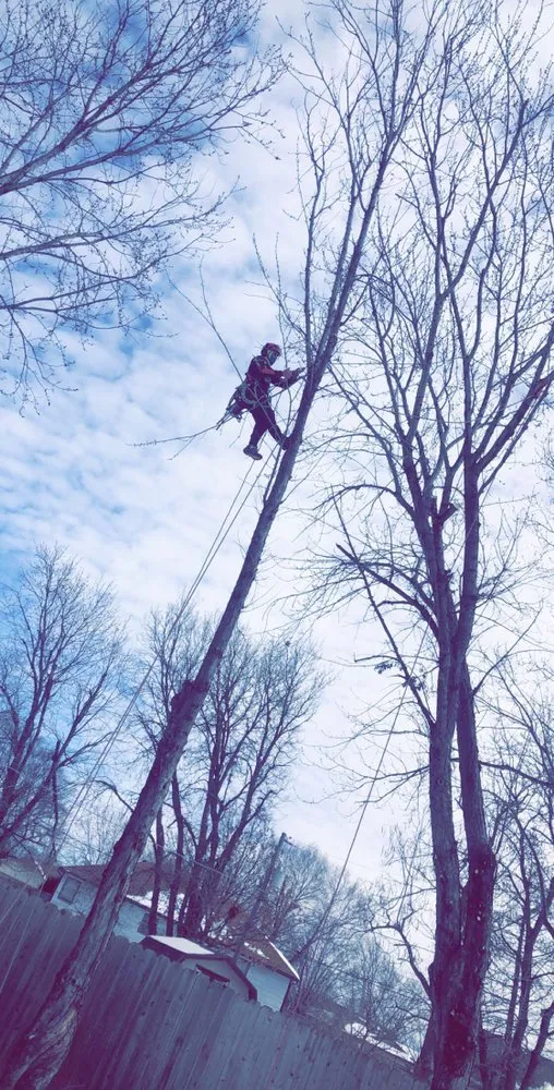 Professional lawn care service in Wichita, KS - CK Tree & Landscape