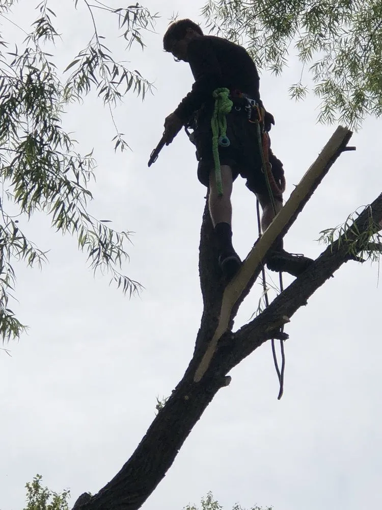 Professional landscape design for outdoor upgrades in Wichita, KS by CK Tree & Landscape