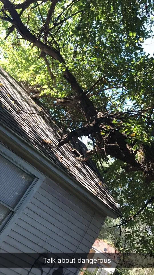 Top-rated landscape installation in Wichita, KS by CK Tree & Landscape