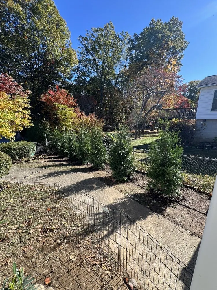Professional residential landscaping for residential properties across Wyckoff, NJ - CKF Landscape Designs