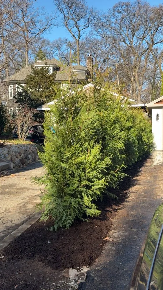 Reliable lawn mowing service experts serving Wyckoff, NJ - CKF Landscape Designs