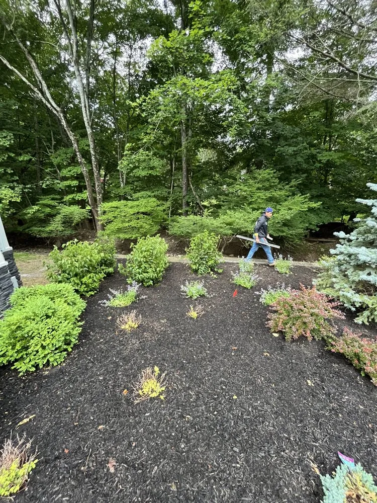 Local landscape installation in Wyckoff, NJ - CKF Landscape Designs