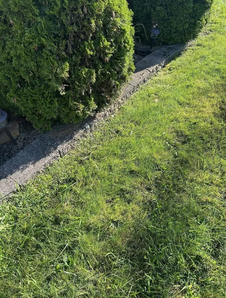 Custom landscape installation in Leechburg, PA - CKH Excavating