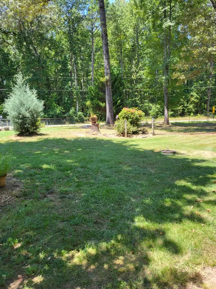 Top-rated residential landscaping experts serving Columbus, GA - CKJ Limitless Solutions