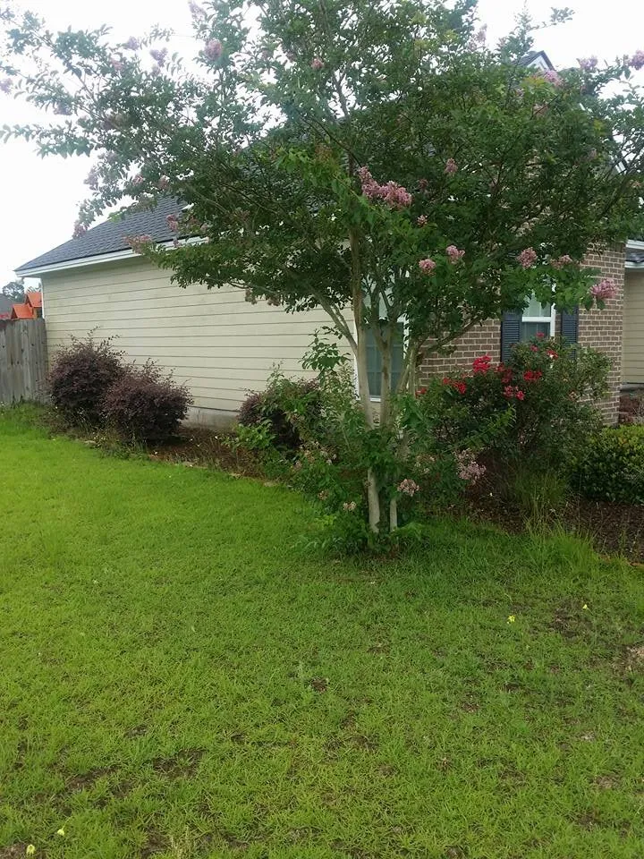 Top-rated landscape installation in Columbus, GA by CKJ Limitless Solutions