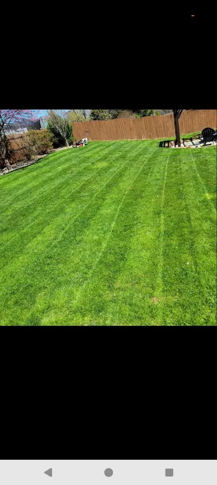 Expert landscape design for residential properties across Parkersburg, WV - CKS Landscaping