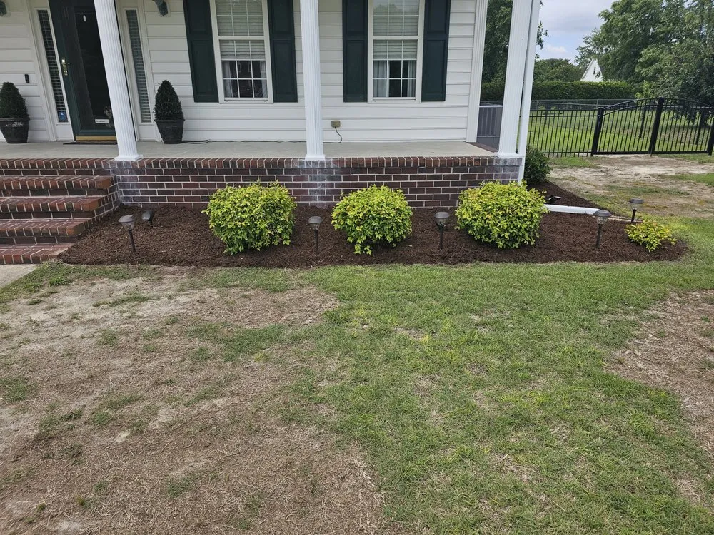 Professional yard cleanup service near you across Goldsboro, NC - C&Ks Lawn Care & More