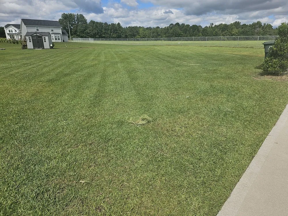 Top-rated landscape design with custom design across Goldsboro, NC - C&Ks Lawn Care & More