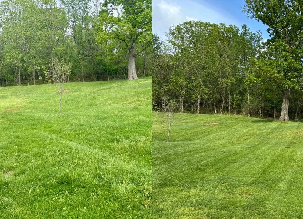 Expert outdoor landscaping near you in Connellsville, PA by CKs Lawn Legends