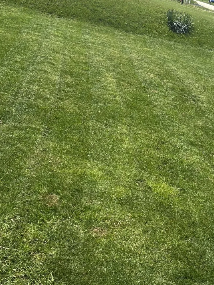 Reliable landscape design for outdoor upgrades in Connellsville, PA by CKs Lawn Legends