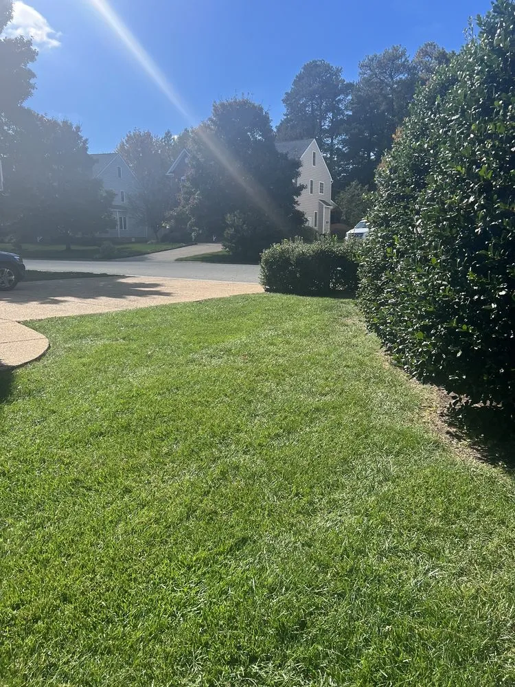 Top-rated garden landscaping in Richmond, VA by CKutting UP Lawn Care