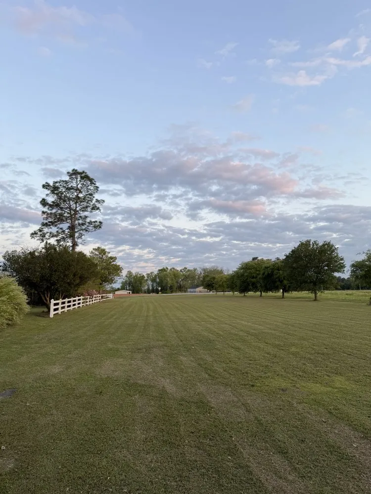 Local yard cleanup service in Lumberton, NC by C&L Bridges Enterprises