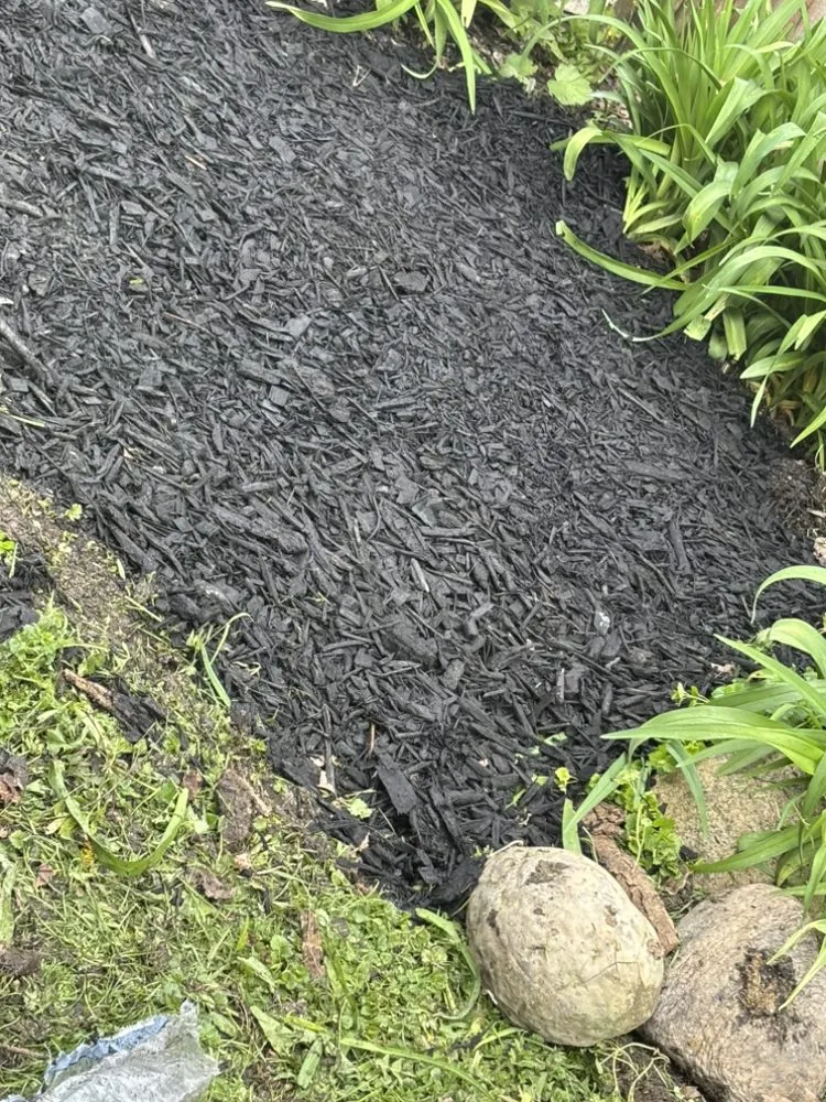 Professional garden landscaping for beautiful yards across Olean, NY - CL Cuts