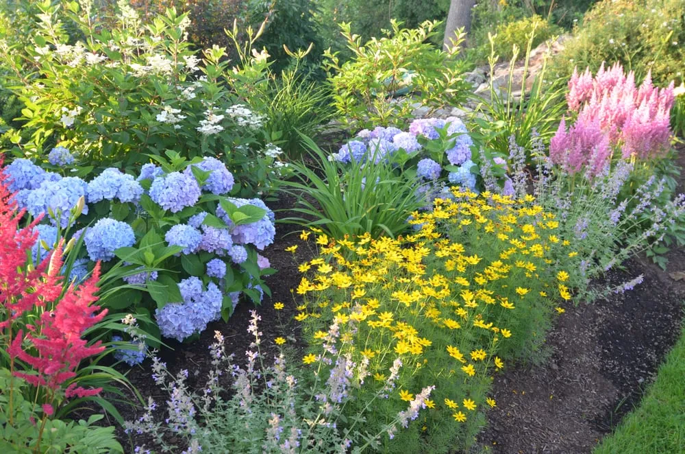 Expert lawn care service for beautiful yards across Kennebunk, ME - CL Design & Landscape