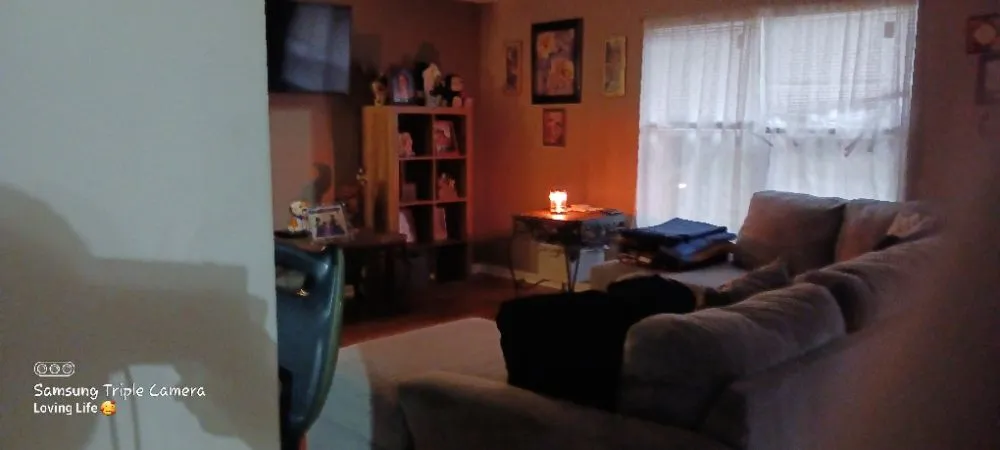 Affordable landscaping services in Lincolnton, NC by C&L Entrepreneur