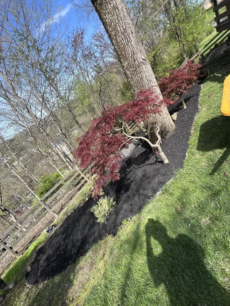 Reliable lawn care service in Sylvester, WV by C&L Innovation