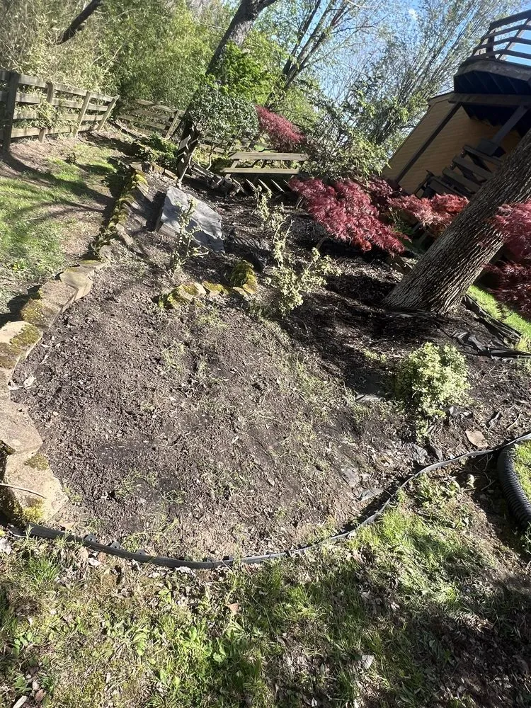 Expert lawn care service in Sylvester, WV - C&L Innovation