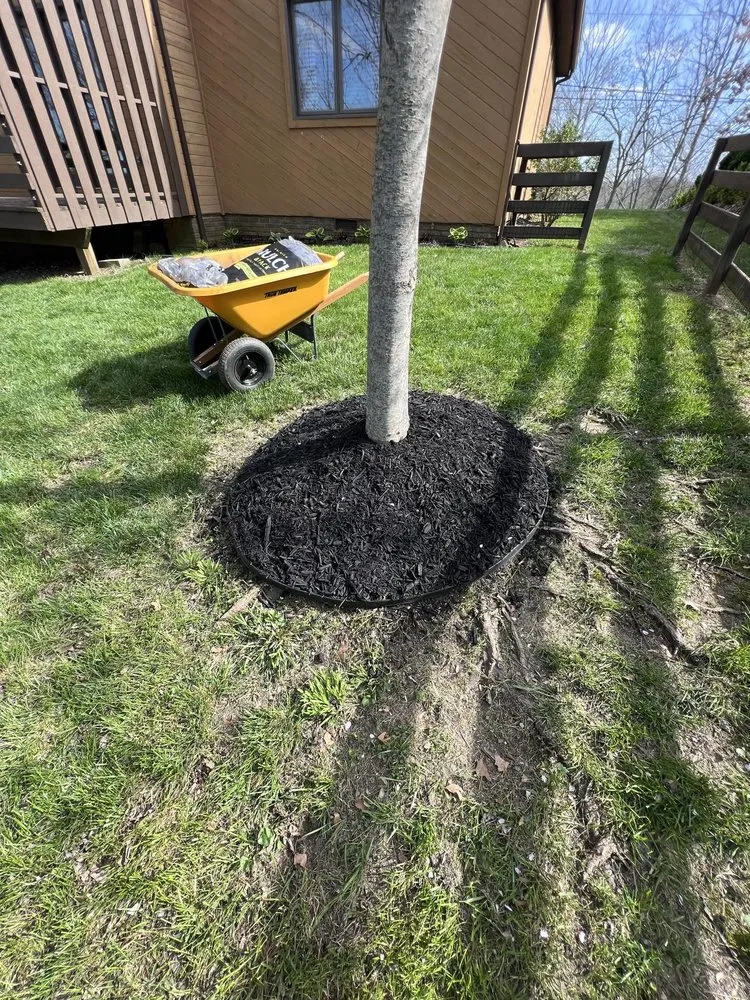 Trusted landscaping services experts serving Sylvester, WV - C&L Innovation