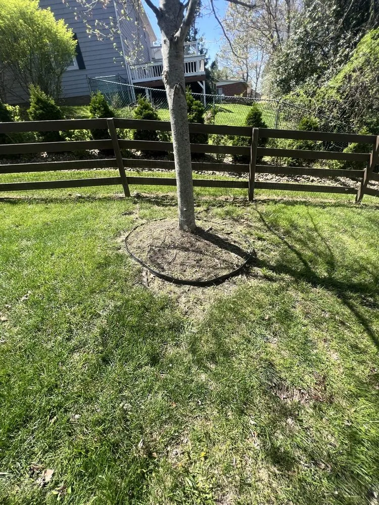 Professional landscape installation with custom design in Sylvester, WV by C&L Innovation
