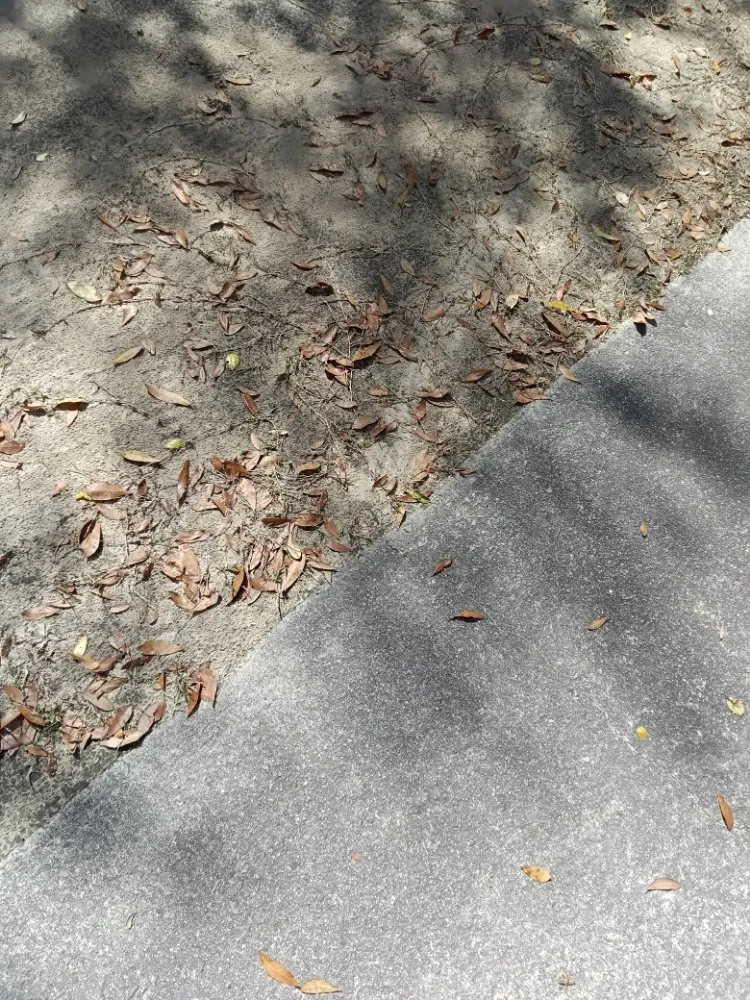 Local garden landscaping experts serving Southern Pines, NC - Cl Kelly And Son's Services