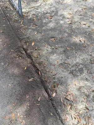 Cl Kelly And Son's Services