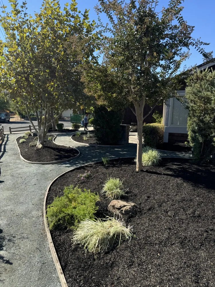 Top-rated yard maintenance experts serving Pleasant Hill, CA - CL Landscape