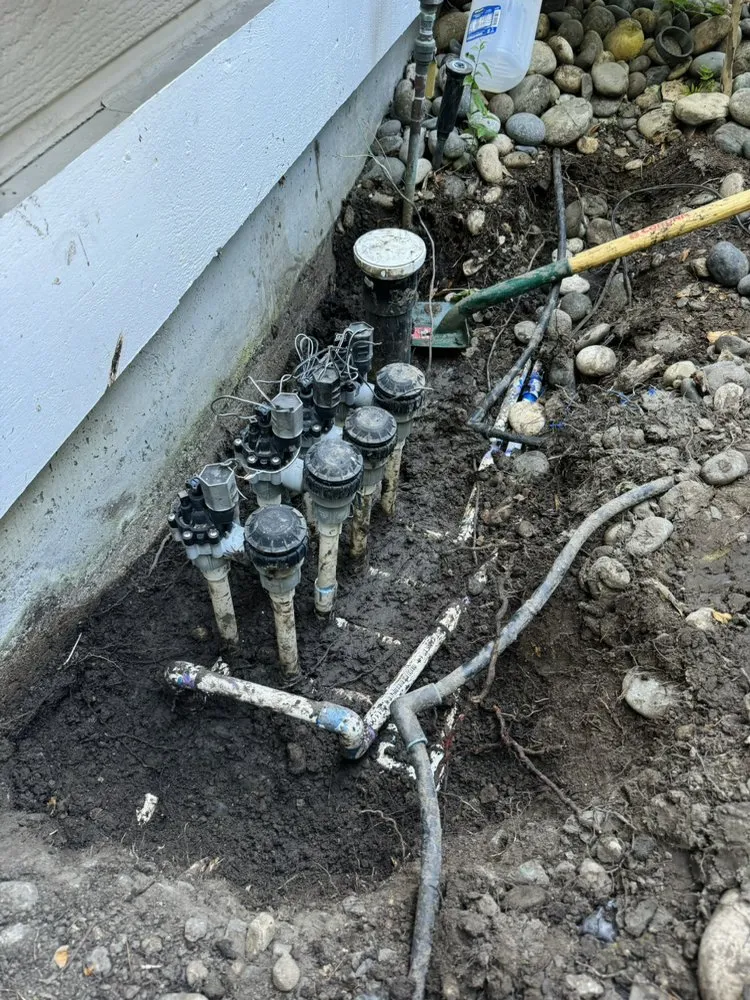 Top-rated residential landscaping for year-round maintenance in Pleasant Hill, CA by CL Landscape