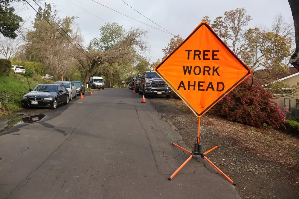 Professional yard maintenance in Pleasant Hill, CA - CL Landscape