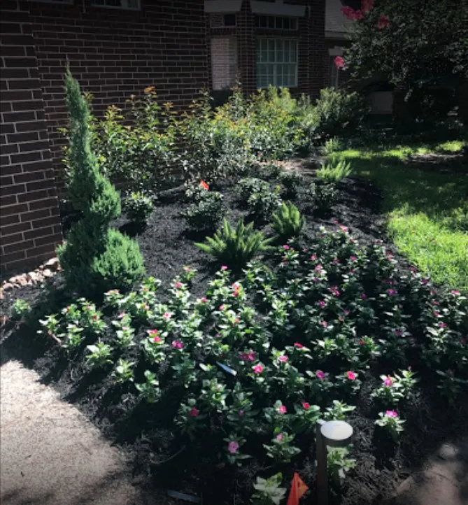 Local yard cleanup service in Houston, TX by C.L Landscapers Of Texas