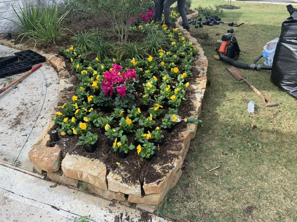 Top-rated garden landscaping in Houston, TX by C.L Landscapers Of Texas