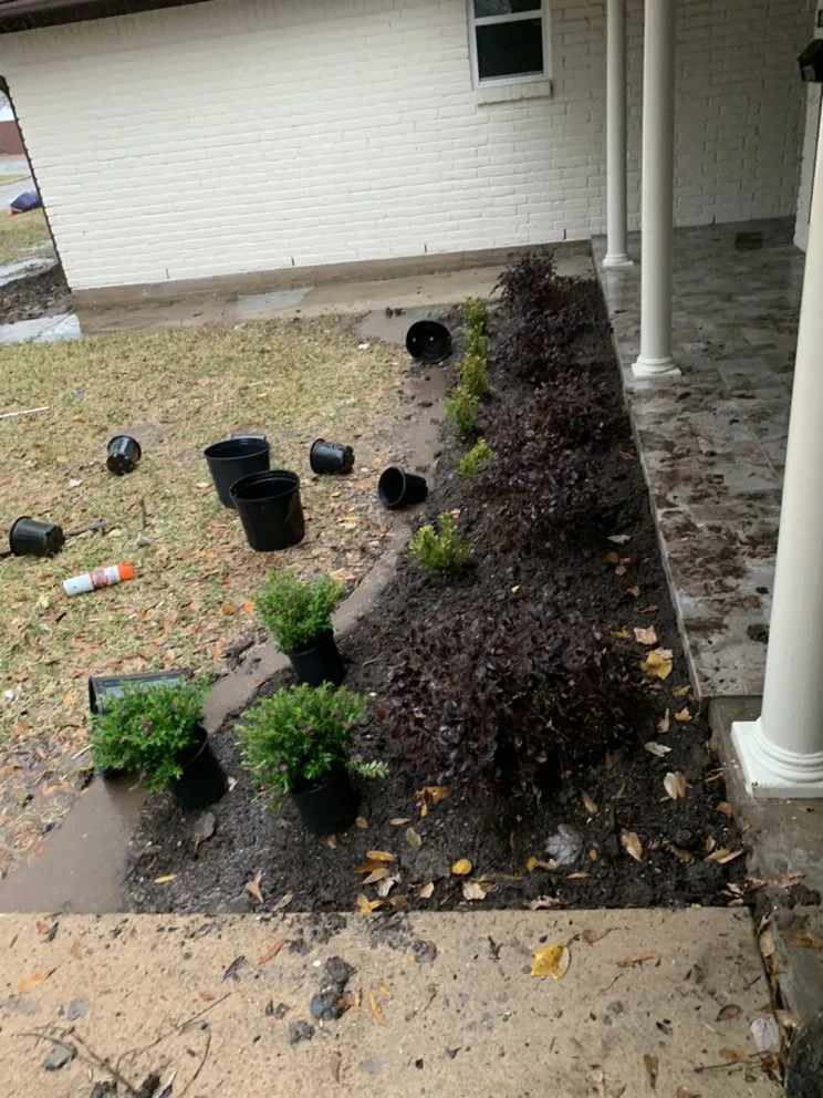 Trusted lawn care service for beautiful yards in Houston, TX by C.L Landscapers Of Texas