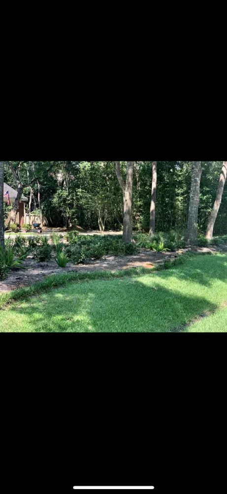 Trusted lawn care service for residential properties in Houston, TX by C.L Landscapers Of Texas