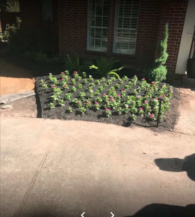 Top-rated yard cleanup service in Houston, TX - C.L Landscapers Of Texas