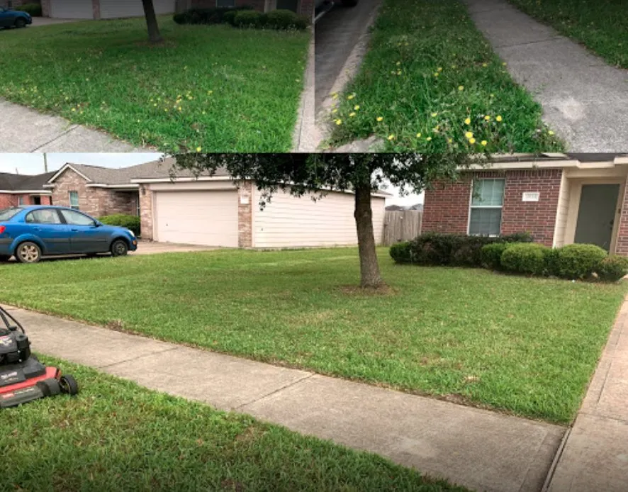 Custom yard cleanup service in Houston, TX - C.L Landscapers Of Texas